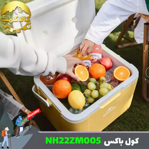 کول باکس 5 لیتر نیچرهایک مدل CNK2450CF012