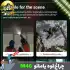 چراغ قوه چندکاره یامائو مدل YM-M46