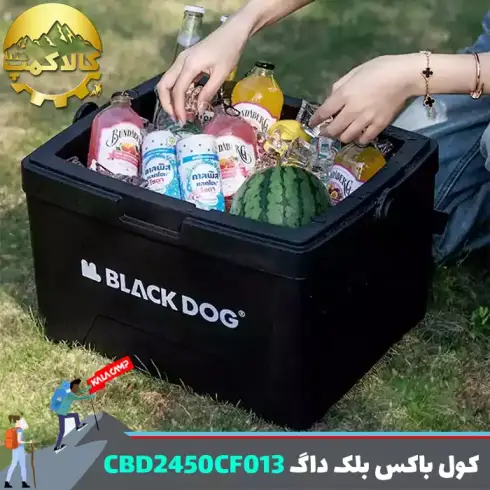 کول باکس کمپینگ بلک داگ مدل CBD2450CF013