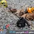 مشعل گازی شاین تریپ مدل Shinetrip ST-05 Blaze