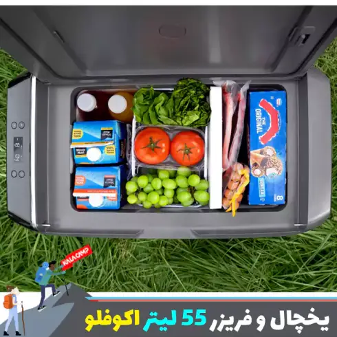 یخچال و فریزر قابل حمل 55 لیتر اکوفلو