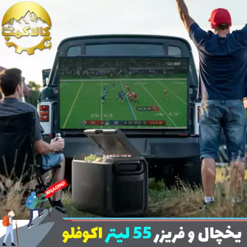 یخچال و فریزر قابل حمل 55 لیتر اکوفلو