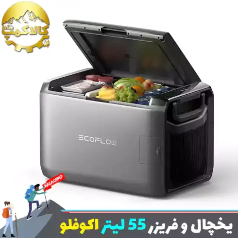 یخچال و فریزر قابل حمل 55 لیتر اکوفلو
