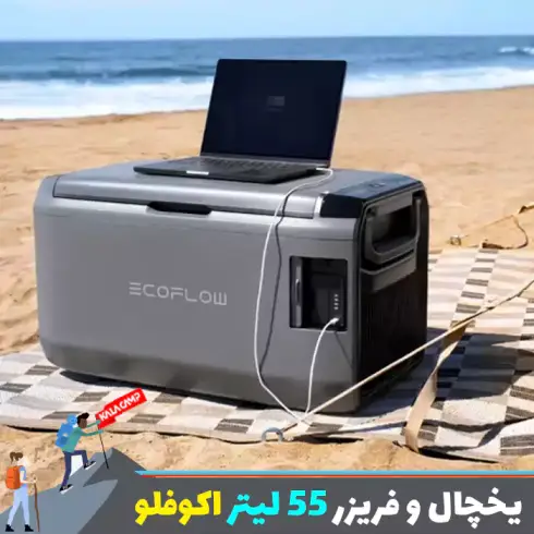 یخچال و فریزر قابل حمل 55 لیتر اکوفلو