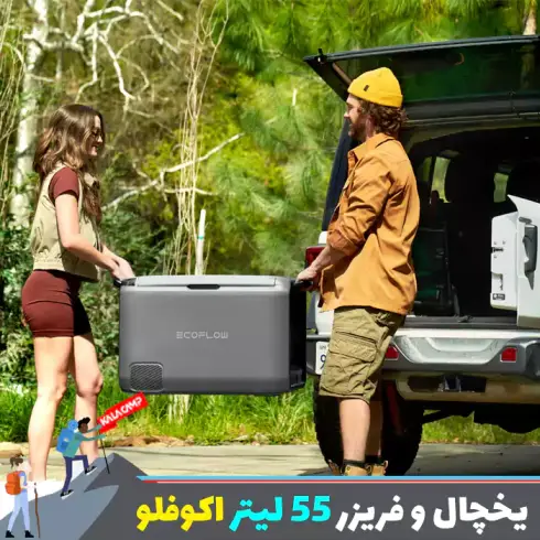 یخچال و فریزر قابل حمل 55 لیتر اکوفلو