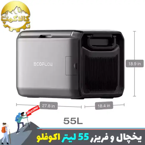 یخچال و فریزر قابل حمل 55 لیتر اکوفلو