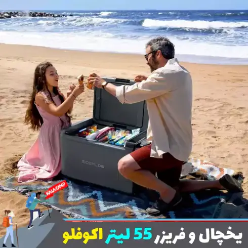 یخچال و فریزر قابل حمل 55 لیتر اکوفلو