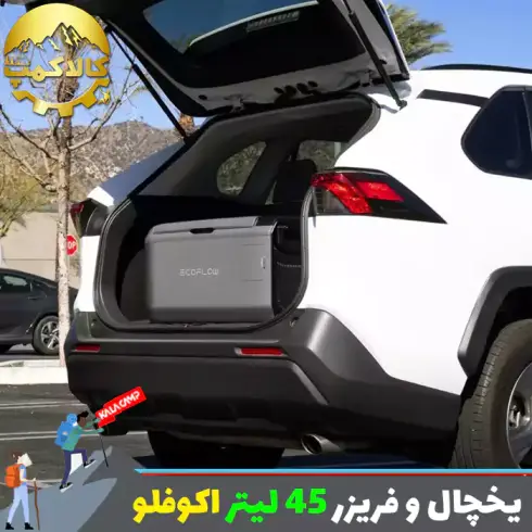 یخچال و فریزر قابل حمل 45 لیتر اکوفلو