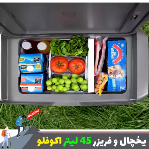 یخچال و فریزر قابل حمل 45 لیتر اکوفلو