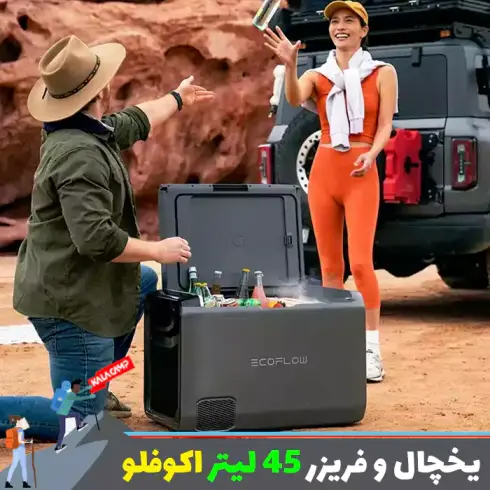یخچال و فریزر قابل حمل 45 لیتر اکوفلو